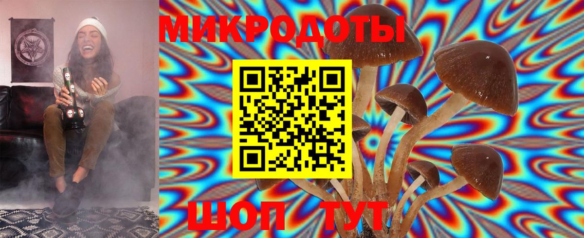 Галлюциногенные грибы мицелий  Вход с VPN  Минусинск 