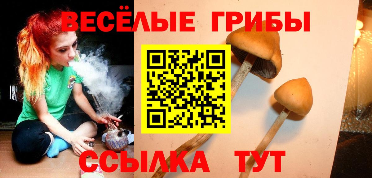 Галлюциногенные грибы MAGIC MUSHROOMS Минусинск